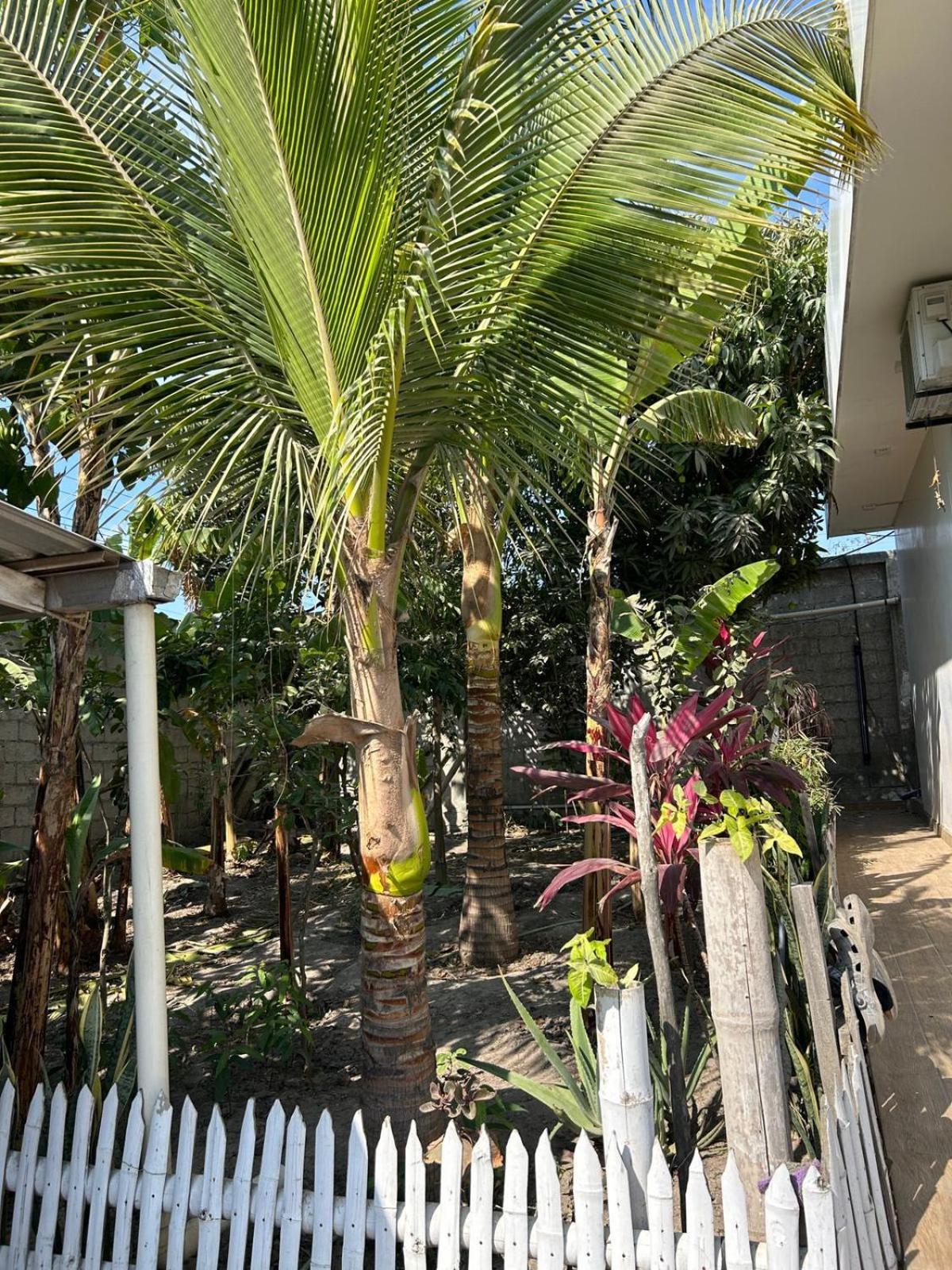 ホテル Casa Con Piscina Privada マンタ エクステリア 写真